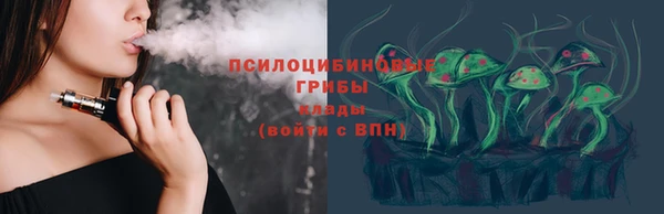 ПСИЛОЦИБИНОВЫЕ ГРИБЫ Коряжма