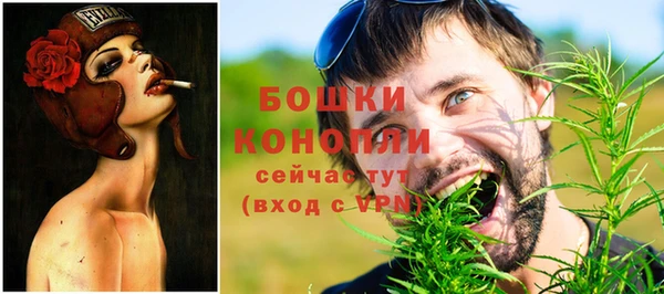ПСИЛОЦИБИНОВЫЕ ГРИБЫ Коряжма