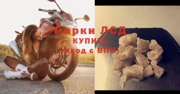 ПСИЛОЦИБИНОВЫЕ ГРИБЫ Коряжма