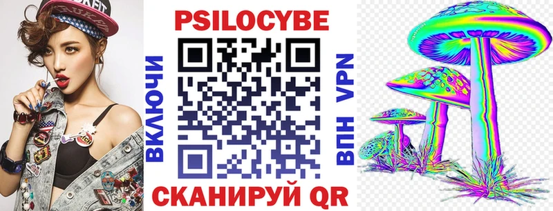 Купить где  Истра  Псилоцибиновые грибы мицелий 