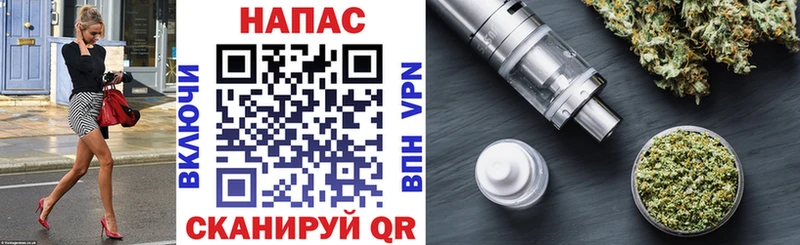 Конопля сатива Истра